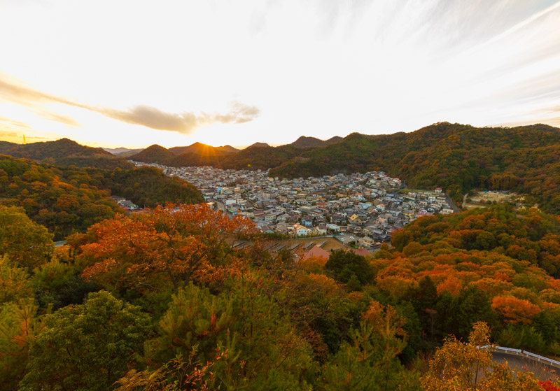 白鳥城から見える景色