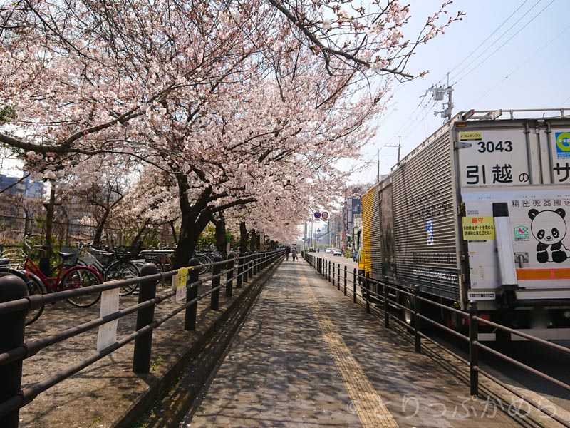 東淀川駅前の桜2