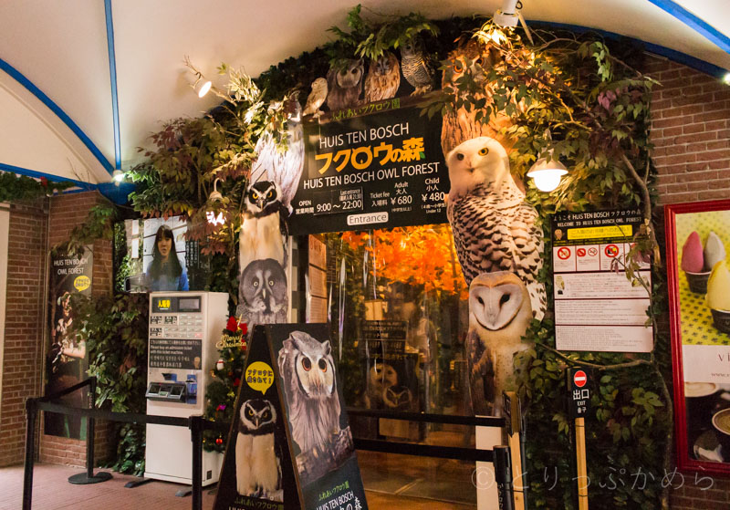 フクロウの森ハウステンボス店の外観