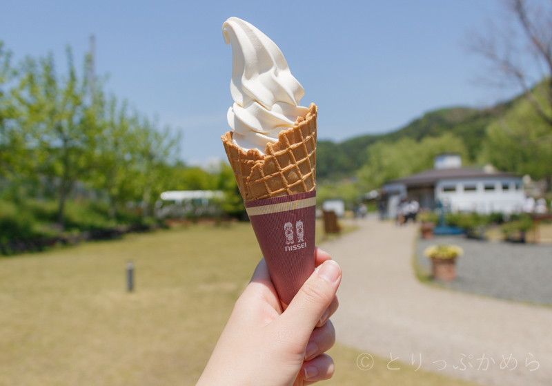 ローザンベリー多和田のマヌカハニーソフトクリーム